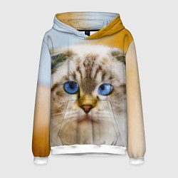 Толстовка-худи мужская Кошка породы шотландская вислоухая косоглазая, цвет: 3D-белый