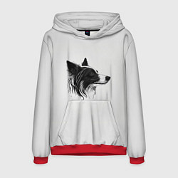 Толстовка-худи мужская Арт бордер-колли, цвет: 3D-красный