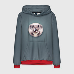 Толстовка-худи мужская Забавная коала, цвет: 3D-красный