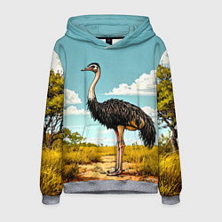 Толстовка-худи мужская Страус в природе, цвет: 3D-меланж
