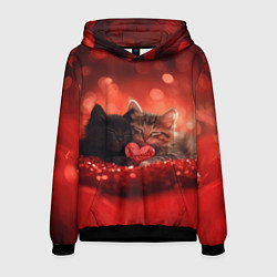 Толстовка-худи мужская Влюбленные котята с сердечком, цвет: 3D-черный