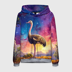 Толстовка-худи мужская Страус и звездное небо, цвет: 3D-меланж