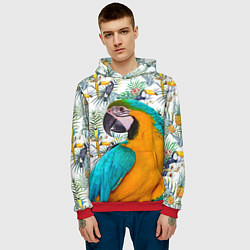 Толстовка-худи мужская Летний попугай, цвет: 3D-красный — фото 2