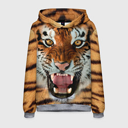 Толстовка-худи мужская Взгляд тигра, цвет: 3D-меланж