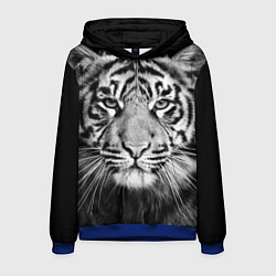 Толстовка-худи мужская Красавец тигр, цвет: 3D-синий