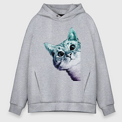 Толстовка оверсайз мужская Любопытный кот, цвет: меланж