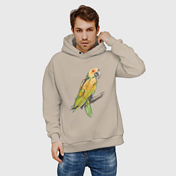 Толстовка оверсайз мужская Любимый попугай, цвет: миндальный — фото 2