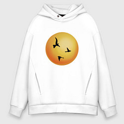 Толстовка оверсайз мужская Три птицы на фоне солнца, цвет: белый