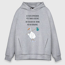 Толстовка оверсайз мужская Стишок про гуся, цвет: меланж