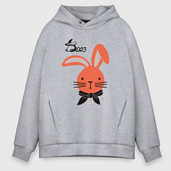 Толстовка оверсайз мужская Кролик 2023 новый год, цвет: меланж