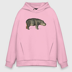 Толстовка оверсайз мужская Hippopotamus, цвет: светло-розовый