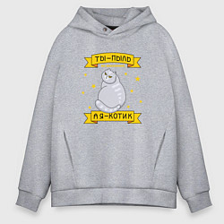 Толстовка оверсайз мужская Ты-пыль во вселенной, а я - котик, цвет: меланж