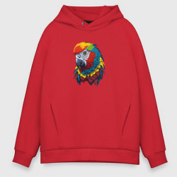Толстовка оверсайз мужская Красочный попугай в ярких перьях, цвет: красный