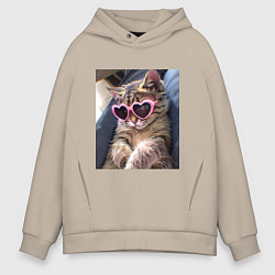 Толстовка оверсайз мужская Милый мем-кот в очках в стиле аниме, цвет: миндальный