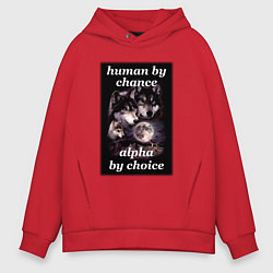 Толстовка оверсайз мужская Human by chance, alpha by choice, цвет: красный