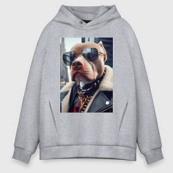 Толстовка оверсайз мужская Чувак питбуль в тёмных очках, цвет: меланж