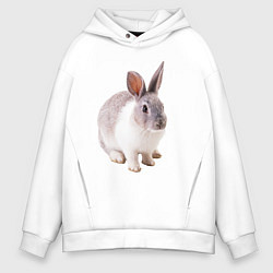 Толстовка оверсайз мужская Кролик бело-серый, цвет: белый