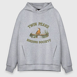 Толстовка оверсайз мужская Twin Peaks birding society, цвет: меланж