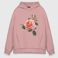 Толстовка оверсайз мужская Розовые розы, цвет: пыльно-розовый