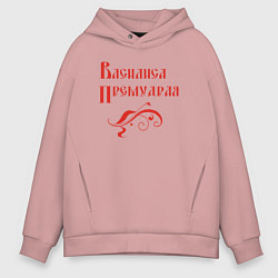 Толстовка оверсайз мужская Василиса Премудрая Цвет красный, цвет: пыльно-розовый