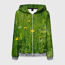 Толстовка 3D на молнии мужская Солнечные одуванчики, цвет: 3D-меланж