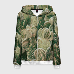 Мужская толстовка на молнии Поле кактусов