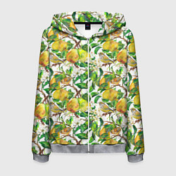 Толстовка 3D на молнии мужская Груша и птичка зеленушка, цвет: 3D-меланж