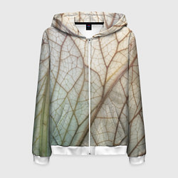 Мужская толстовка на молнии Прожилки листика