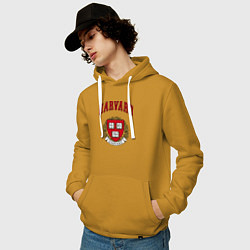 Толстовка-худи хлопковая мужская Harvard university, цвет: горчичный — фото 2
