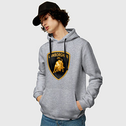 Толстовка-худи хлопковая мужская Lamborghini logo, цвет: меланж — фото 2