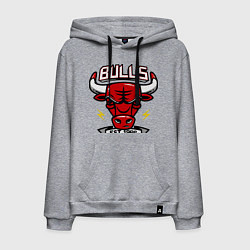 Толстовка-худи хлопковая мужская Chicago Bulls est. 1966, цвет: меланж