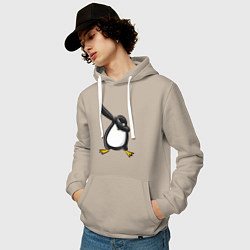 Толстовка-худи хлопковая мужская DAB Pinguin, цвет: миндальный — фото 2