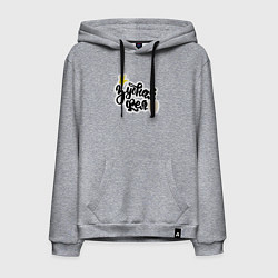 Толстовка-худи хлопковая мужская Зубная фея Стоматолог, цвет: меланж