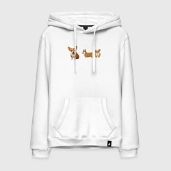 Толстовка-худи хлопковая мужская Корги, цвет: белый