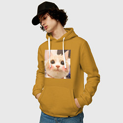 Толстовка-худи хлопковая мужская Мем про котов, цвет: горчичный — фото 2