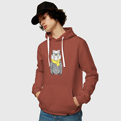 Толстовка-худи хлопковая мужская Hipster Cat, цвет: кирпичный — фото 2