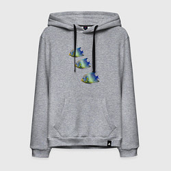 Толстовка-худи хлопковая мужская Рыба, цвет: меланж