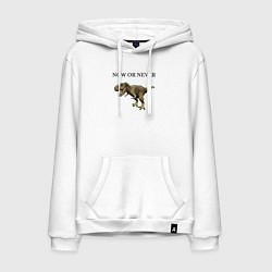 Толстовка-худи хлопковая мужская Динозаврик, цвет: белый