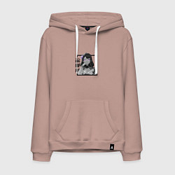 Толстовка-худи хлопковая мужская Сегун Райден Эи в квадрате, цвет: пыльно-розовый