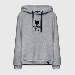 Толстовка-худи хлопковая мужская Stray: Black Logo, цвет: меланж