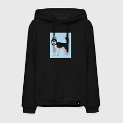 Толстовка-худи хлопковая мужская Сибирский хаски собака, цвет: черный