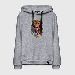 Толстовка-худи хлопковая мужская Lion dreaD, цвет: меланж