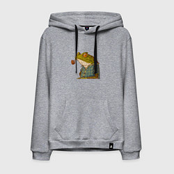 Толстовка-худи хлопковая мужская Мудрая лягушка, цвет: меланж