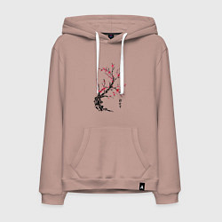 Толстовка-худи хлопковая мужская Сакура с иероглифами, цвет: пыльно-розовый