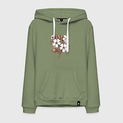 Толстовка-худи хлопковая мужская Цветы хлопка в букете, цвет: авокадо