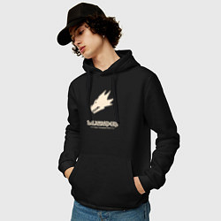 Толстовка-худи хлопковая мужская Саламандры лого винтаж, цвет: черный — фото 2