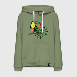 Толстовка-худи хлопковая мужская Птица тукан с цветами и листьями, цвет: авокадо