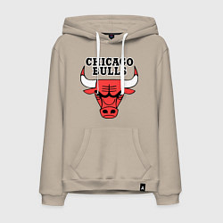 Мужская толстовка-худи Chicago Bulls
