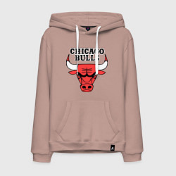 Толстовка-худи хлопковая мужская Chicago Bulls, цвет: пыльно-розовый