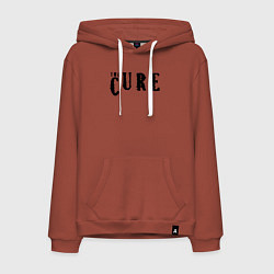 Толстовка-худи хлопковая мужская The Cure лого, цвет: кирпичный